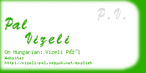 pal vizeli business card